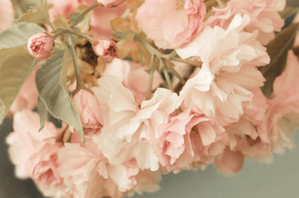 12月2日-12月12日，運勢逆襲，吉星高照，美好生活近在咫尺