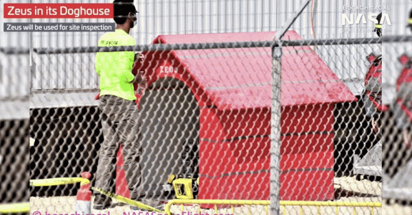 不簽收就會跑掉,還能幫小學生寫作業。這樣的新年禮物喜歡嗎? 不簽收就會跑掉,還能幫小學生寫作業。這樣的新年禮物喜歡嗎?