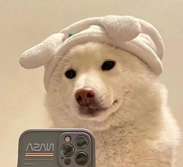 單身人士的“治癒禮包”文案 :沒人牽手手，那咱揣兜兜