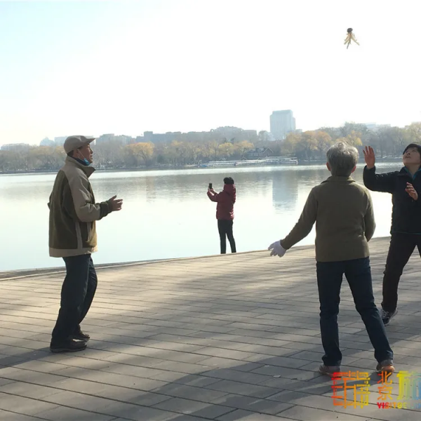 唯美浪漫！京城這個公園的水杉還紅著，錯過等明年~【送年票】