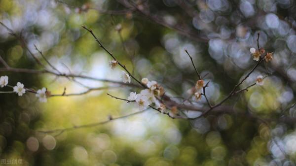 一個人要學會這幾種報答的方式，比請吃飯更靠譜