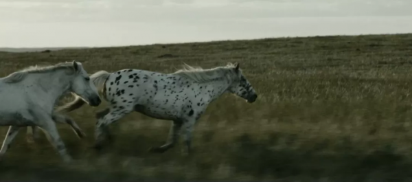 它們票房低，但錯過就很可惜