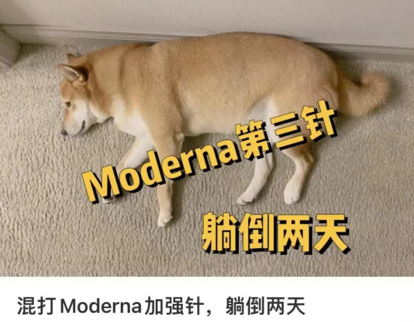 華人親述：額頭能煮蛋 半夜疼醒 淋巴腫大 大姨媽異常 骨子裡發冷