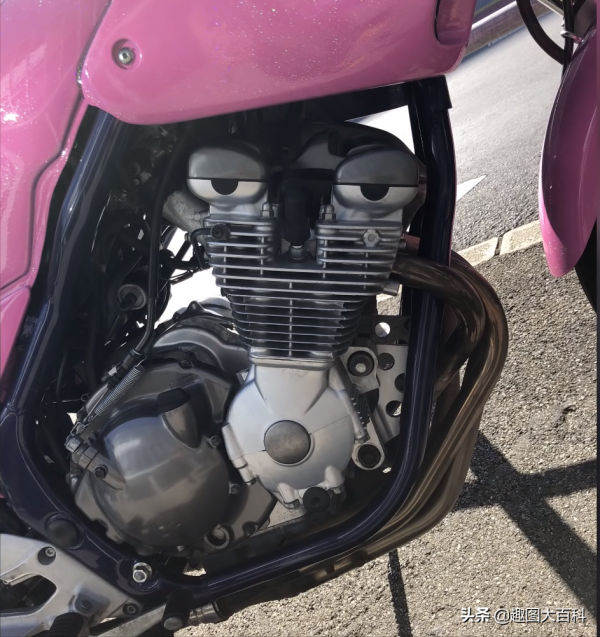 41張“活久未見”的巧合圖片，讓人感覺很難相信這是真的