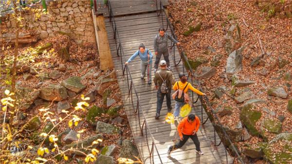 又快到了去本溪賞楓的季節，楓林谷是我退休以後每年都要去的地方