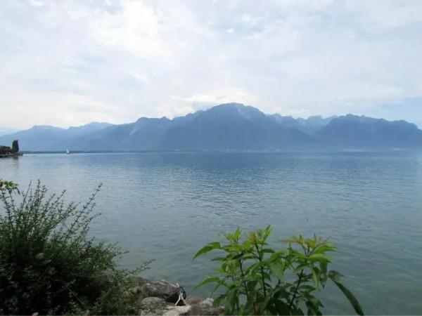 瑞士之行——第一站 蒙特勒