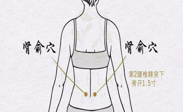 張仲景:掌握三個“訣竅”,能歸還陽氣 張仲景:掌握三個“訣竅”,能歸還陽氣