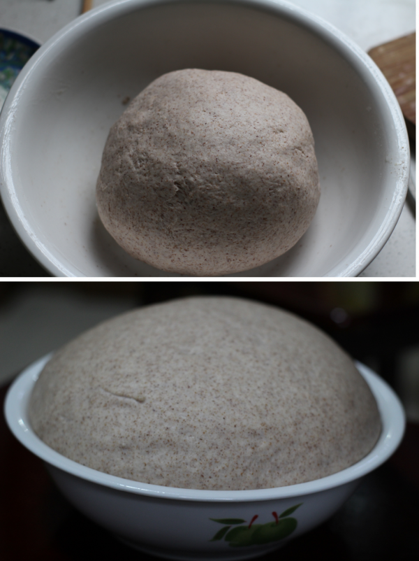 微蒸烤一體機怎麼選？微蒸烤怎麼做菜？來看看VD5000交出的答案