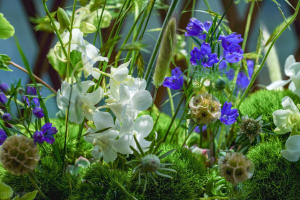 65歲阿姨坦言:老了有固定收入有房住,最好別再找了自由自在多好 65歲阿姨坦言:老了有固定收入有房住,最好別再找了自由自在多好