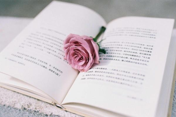 一個人越獨立，生活越高階