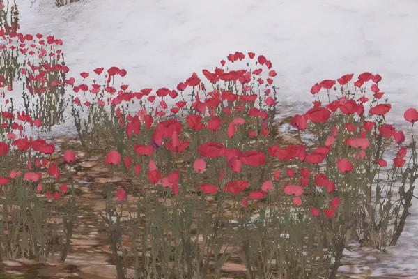 年底大練兵，全答對的你敢報段位嗎？