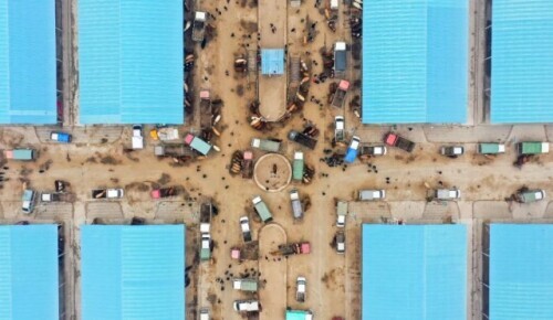 這個村子靠啥留住年輕人?收入比城裡人還高 這個村子靠啥留住年輕人?收入比城裡人還高