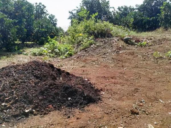 焚燒火土灰，汙染空氣嗎？