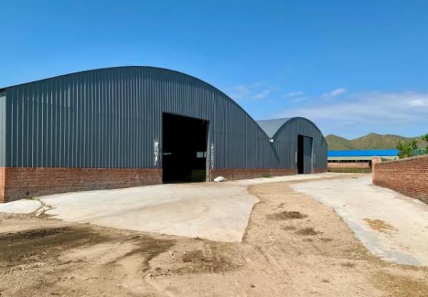 走進鄉村看小康丨巴林左旗成榮家庭牧場:田園牧歌裡的致富經 走進鄉村看小康丨巴林左旗成榮家庭牧場:田園牧歌裡的致富經