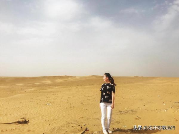 民豐到輪臺全程565&period;66公里，限速80的塔克拉瑪干沙漠公路，打卡嗎