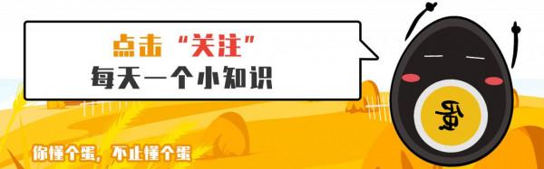 月餅不要和粥一起吃 月餅不要和粥一起吃