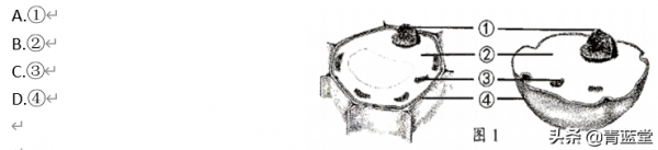 2021年吉林省中考生物真題