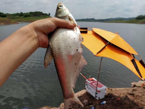 冬天釣魚絕對不能“懶”,做好四項工作,魚獲自然少不了 冬天釣魚絕對不能“懶”,做好四項工作,魚獲自然少不了