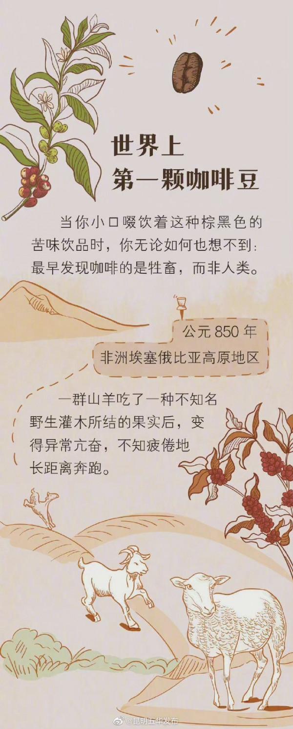 如何喝咖啡才能健康續命