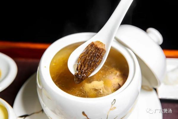 家裡有寶寶,你要學會燉羊肚菌虎乳菌湯 家裡有寶寶,你要學會燉羊肚菌虎乳菌湯