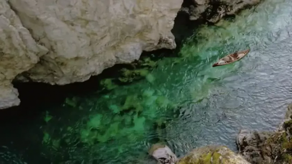 最美的電影，看完整個人都舒服了