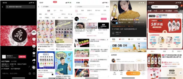 元氣森林私域體系拆解 元氣森林私域體系拆解