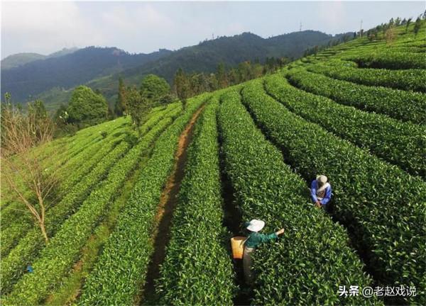 回顧2021年離世的企業家，有人壽終正寢，有人去世前還在工作