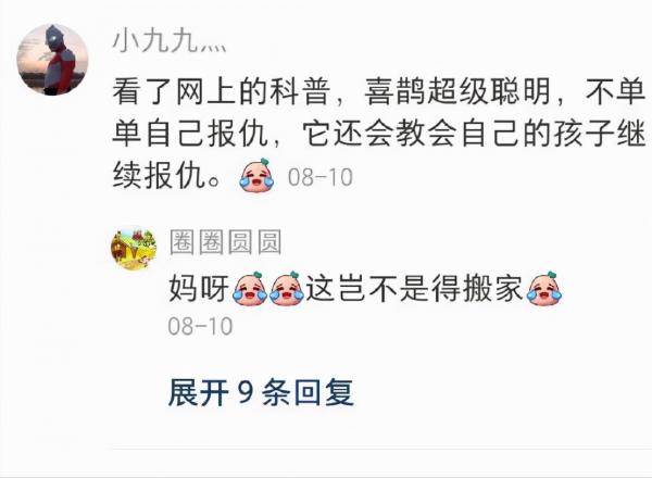 聰明的喜鵲可是&OpenCurlyDoubleQuote;高階建築師&rdquo;，它的窩外表粗糙內部奢華，扛風雪