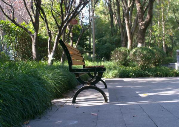 選擇相機還是手機?永諾YN455直播相機入手體驗 選擇相機還是手機?永諾YN455直播相機入手體驗