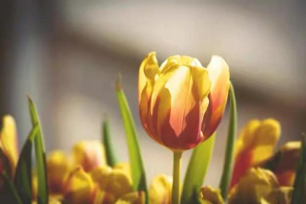 訂婚第三天，男子突然反悔、不願再娶：她一家人真的太&OpenCurlyDoubleQuote;有心機&rdquo;