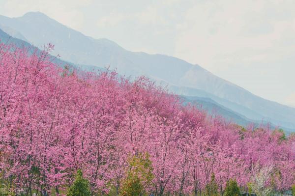 2021年氣候大變？南極迎64年來最冷冬！地球越來越暗，變暖暫停？