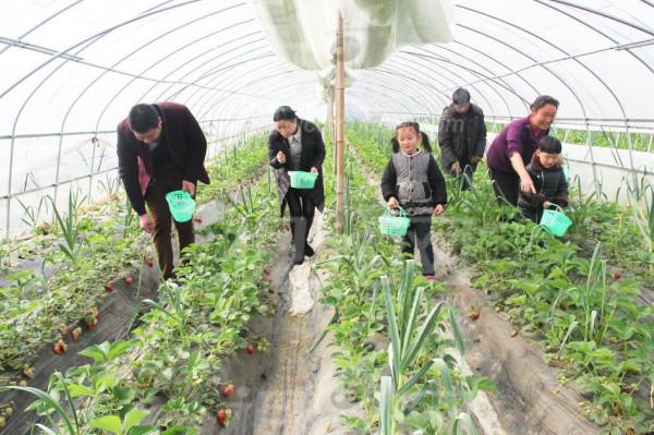 農村又迎來“發展機會”?農民創業發展又來補貼了?甘肅省已實施 農村又迎來“發展機會”?農民創業發展又來補貼了?甘肅省已實施