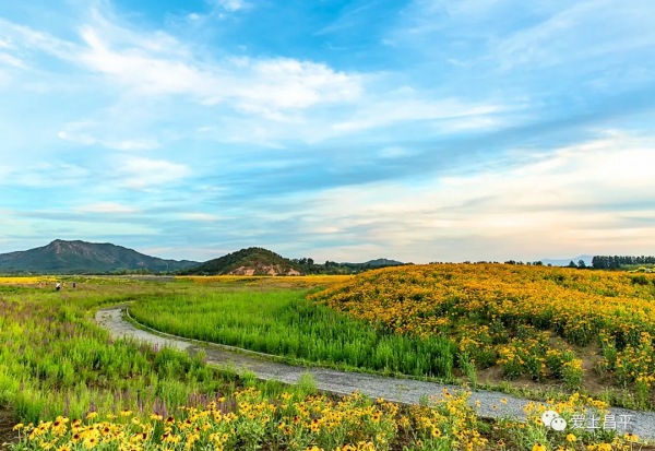 昌平這幾座姿態萬千的橋,每座都連著賞不夠的好風景 昌平這幾座姿態萬千的橋,每座都連著賞不夠的好風景