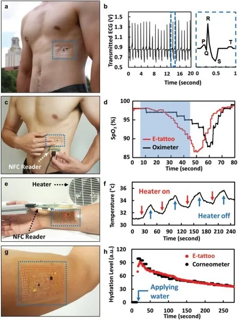 首創混合響應柔性壓力感測器，為人把脈，將為機器人打造人類觸覺