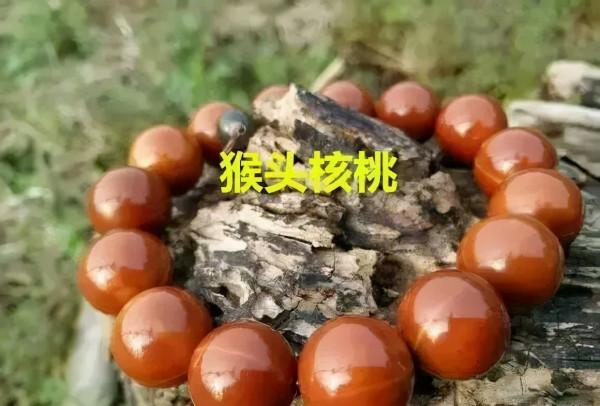 紫金鼠、橄欖核、猴頭，光珠手串哪個最貴？