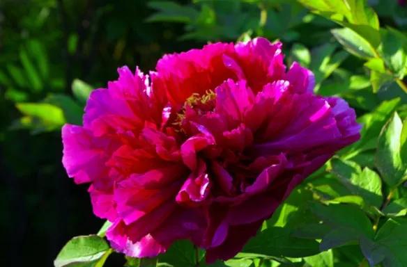 相是由心生,美貌是福報 相是由心生,美貌是福報