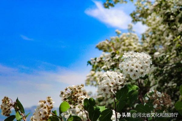 四季美景內卷天花板，必是東太行！