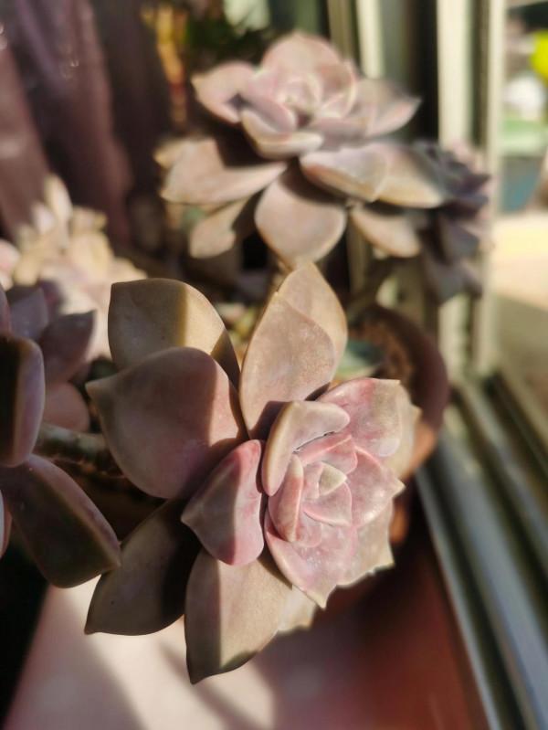 離家三個多月,肉肉還好嗎? 離家三個多月,肉肉還好嗎?