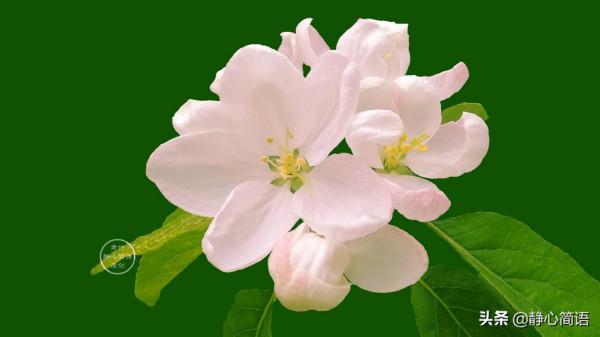 無論你怎麼努力，也不要期望別人滿意