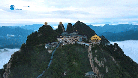 吳彤吹笙伊洛間,古今對弈老君山,太極拳動風雲起,覽此疑為世上仙 吳彤吹笙伊洛間,古今對弈老君山,太極拳動風雲起,覽此疑為世上仙