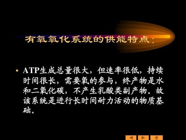 有氧運動代謝能力有壞處？