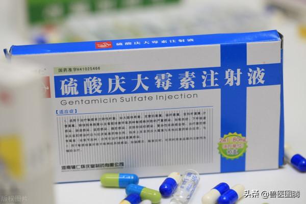 慶大黴素的4種經典搭配,解決豬場大問題,養豬人值得一看 慶大黴素的4種經典搭配,解決豬場大問題,養豬人值得一看