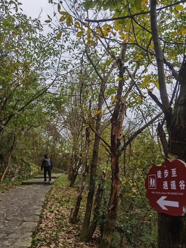 天下太極，世界武當