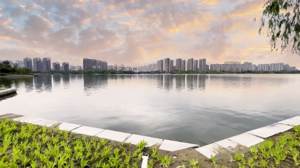 星聯攬月灣 | 深秋裡的湖居洋房生活 星聯攬月灣 | 深秋裡的湖居洋房生活