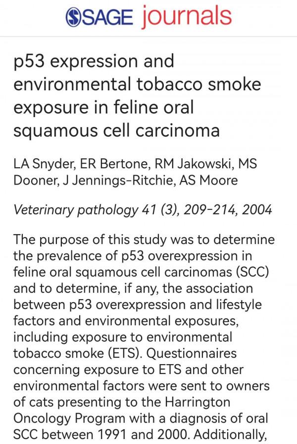 我抽菸會讓貓狗患上癌症？那該怎麼辦？