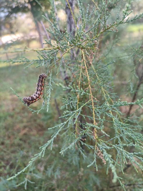看教育不能用肉眼而是用心眼