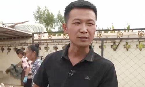 小夥放棄學業回鄉創業,水上養雁、水下養魚,年銷售額達1500萬元 小夥放棄學業回鄉創業,水上養雁、水下養魚,年銷售額達1500萬元