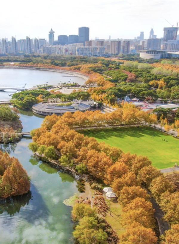 秋日“佳釀”，醇厚濃烈！季節限定款美景，錯過等一年