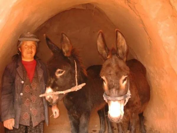 續：走進甘肅地 再越六盤山