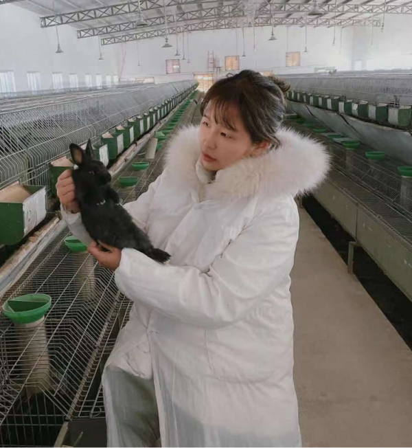 返鄉創業惠鄉鄰 養兔鋪就財富路 返鄉創業惠鄉鄰 養兔鋪就財富路